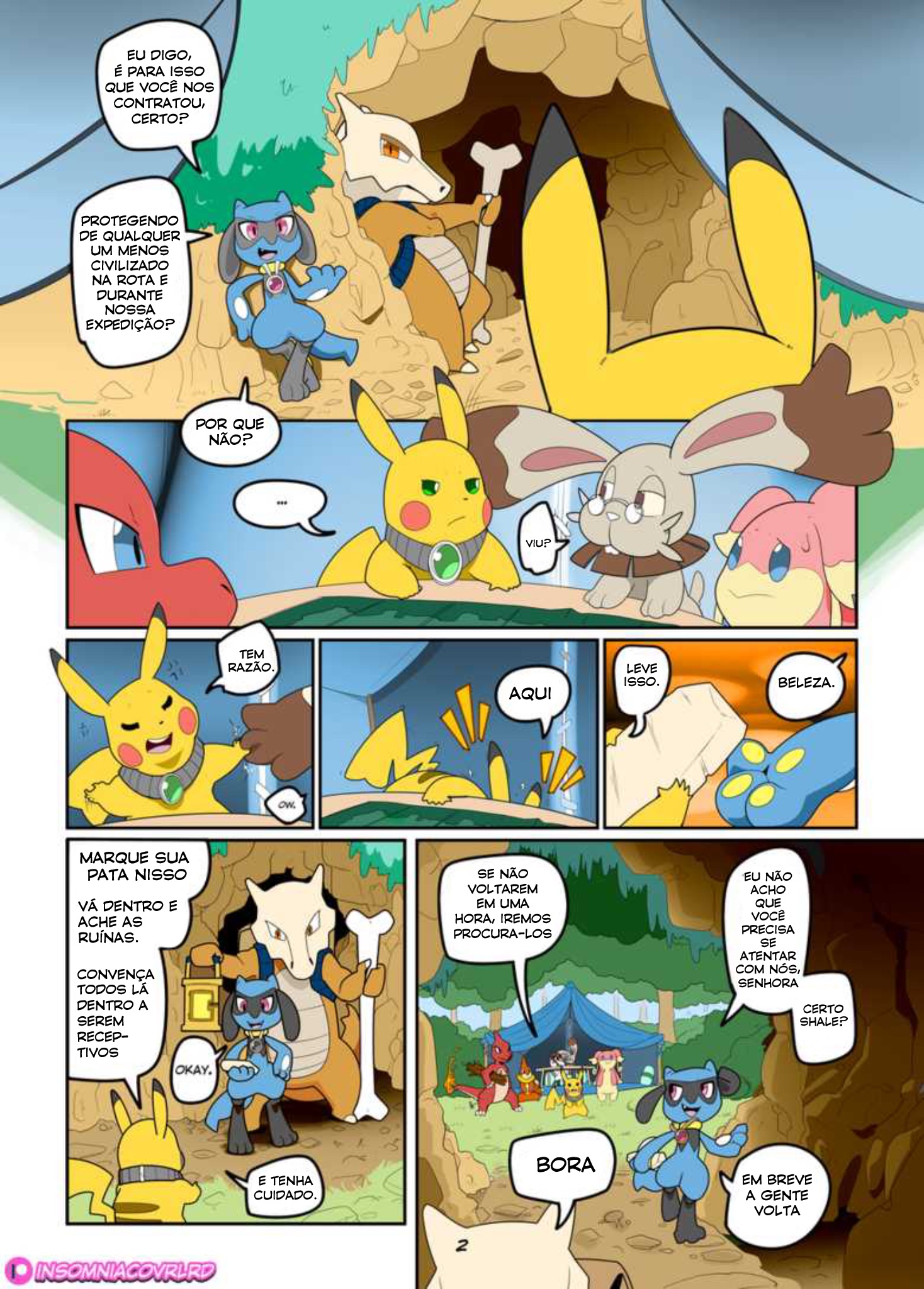 Page 3
